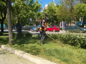 Свързани файлове